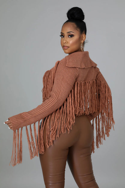 TAKING ME ON THE WILD SIDE SWEATER TOP-MOCHA